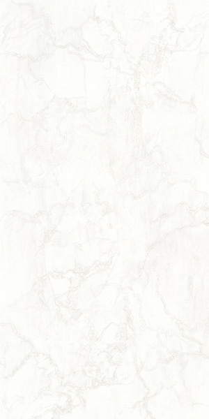 Керамогранит MYSTERY WHITE LUX/RET (СП1310) 8мм 60x120 от Tagina (Италия)