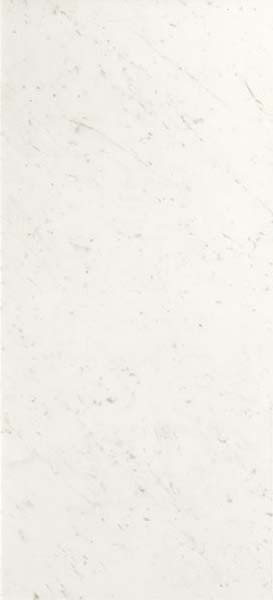 Настенная плитка Roma Diamond Carrara Brillante Rt (fPQD) 50x120 от FAP Ceramiche (Италия)
