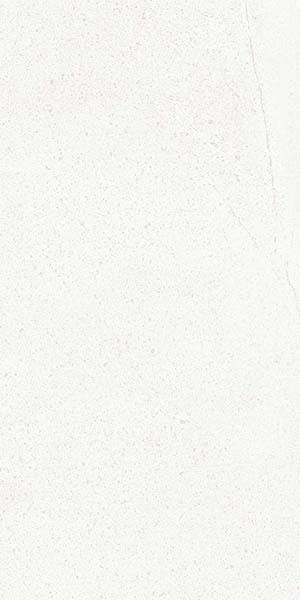 Керамогранит Tardivo N Bianco-MG (Art##0007286) 90x180 от Nanogress (Китай)