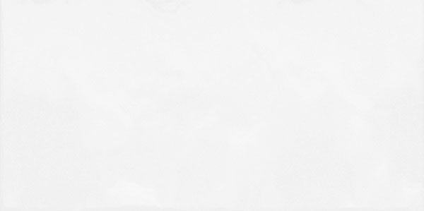 Настенная плитка рельефная Brenta Monocolor (TWU09MNR030) 24 9x50x8.5 от Alma Ceramica (Россия)