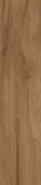 Керамогранит Ashton (GFA92ATN44R) 20x90x9 от Alma Ceramica (Россия)