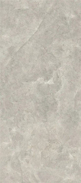 Керамогранит Platinum Leica Silk (6 мм) (MN226AR321606) 160x320 от Moreroom (Китай)