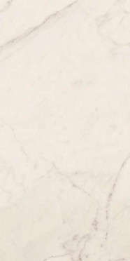 Напольная плитка TREX 12W RM 60x120 от La Faenza (Италия)