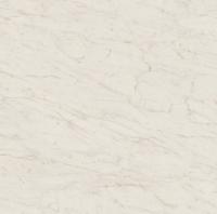 Керамогранит Marvel Cremo Delicato Lappato (AY2U) 120x120 от Atlas Concorde (Италия)