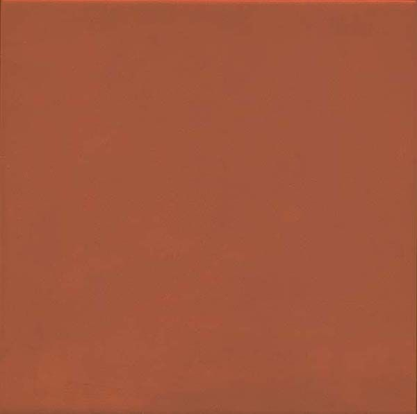 Напольная плитка 1900 Rojizo 20x20 от Vives Ceramica (Испания)