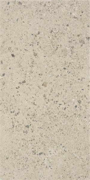 Керамогранит P.E. Boltonstone warm MT RECT. 60x120 от STN Ceramica (Stylnul) (Испания)