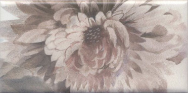 Декор Тортона VB/A30/16076 7.4x15.7 от Kerama Marazzi (Россия)