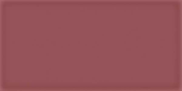 Настенная плитка Corso Burdeos 10x20 от Vives Ceramica (Испания)