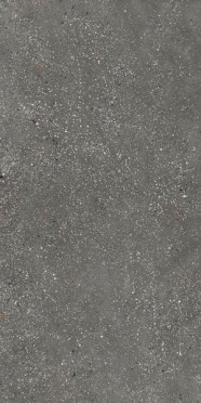 Керамогранит Ama Rect. Graphite 120 60x120 от APE Ceramica (Испания)