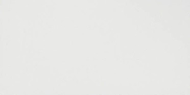 Настенная плитка SOLID WHITE MATT (8DSO) 40x80 от Atlas Concorde (Италия)