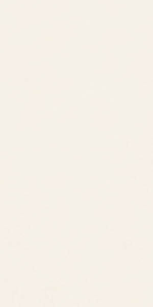 Керамогранит Design Colors Blossom Pure Matt (N12041) 60x120 от Neodom (Индия)