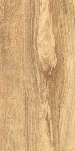 Керамогранит TAIGA LIGHT MATT+CARVING IT (ITL84095) 60x120 от Gresant (Индия)