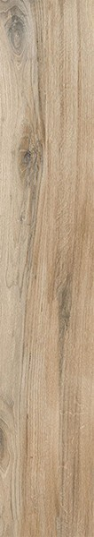 Керамогранит ASTON PINE 20x120x0.9 от Gravita (Индия)