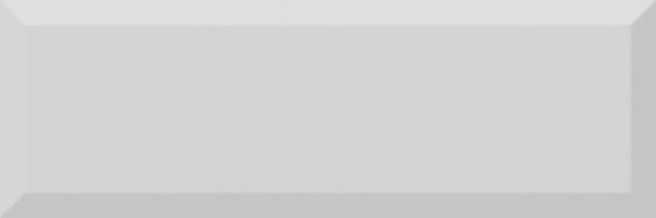 Настенная плитка Monocolor Biselado Brillo Gris 10x30 от Absolut Keramika (Испания)