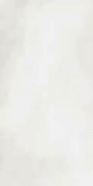 Керамогранит R-EVOLUTION TOTAL WHITE 9MM (11720026) 60x120 от Casalgrande Padana (Италия)