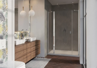 Душевая дверь в нишу левосторонняя Radaway NES DWJS 120 см. профиль хром, стекло прозрачное