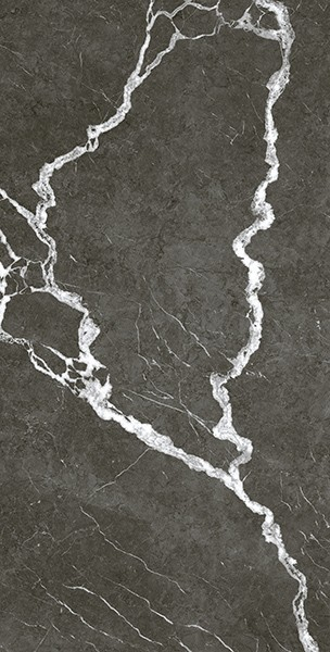 Керамогранит Микеланджело Дарк Рет (610010002747) 60x120 от ColiseumGres (Россия)