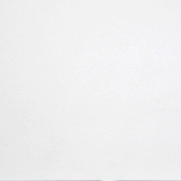 Керамогранит Domino G-100/MR 60 60x60x9 от Grasaro (Россия)