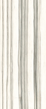 Керамогранит Aesthetica AE ZEB6 278 LPM (AEZEB6278LPM) 120x278 от La Faenza (Италия)