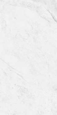 Керамогранит Classic Marble Carrara Antique Satin (N20559) 60x120 60x120 от Neodom (Индия)