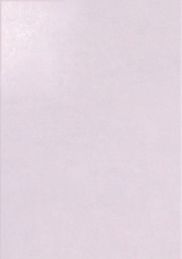 Настенная плитка PROVENCE AIX-L (12853) 33x47 от Peronda (Испания)