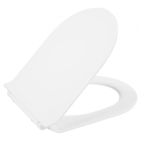 Сиденье для унитаза с крышкой быстросъемное с микролифтом BelBagno Flay-R BB2111SC