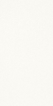 Керамогранит Black-White SNOW 50 50x100x3.5 от Kerlite (Италия)