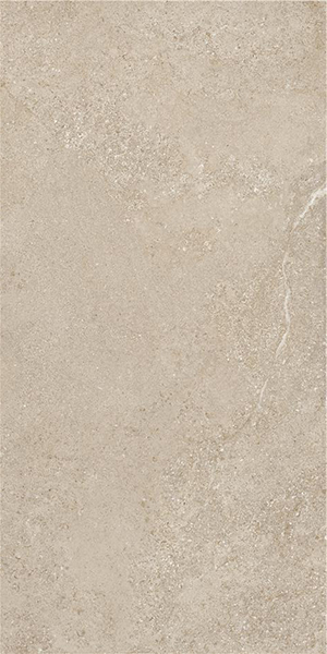 Керамогранит Arenite Natural Matt. (N30102) 60x120 от STN Ceramica (Stylnul) (Испания)