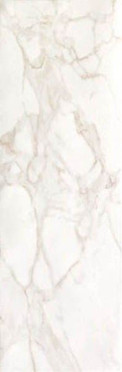 Настенная плитка ROMA 25 CALACATTA (fLSN) 25x75 от FAP Ceramiche (Италия)