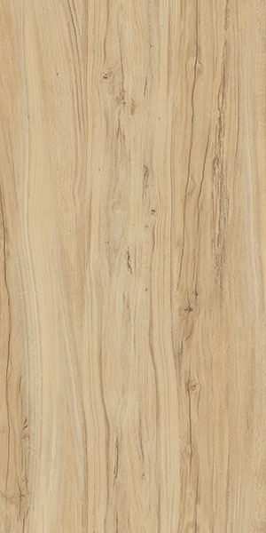 Керамогранит K-2101/SR 60x120x10 от Kerranova (Россия)