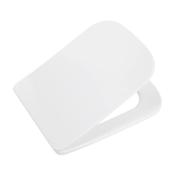 Сиденье для унитаза с крышкой быстросъемное с микролифтом BelBagno MARMI BB052SC