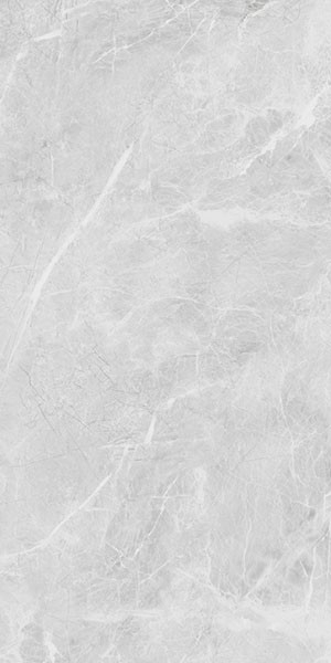 Керамогранит Belvedere Eva Grey Polished (N20467) 60x120 от Neodom (Индия)