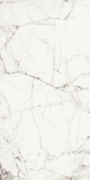 Керамогранит RHAPSODY WHITE FUN LEV/RETT.(117430) 60x120 от Naxos Ceramica (Италия)