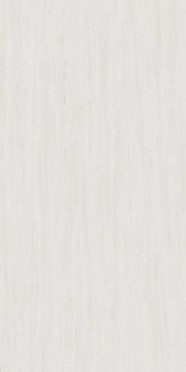 Керамогранит Marvel Stone Bianco Dolomite Lappato (AZTV) 120x240 от Atlas Concorde (Италия)