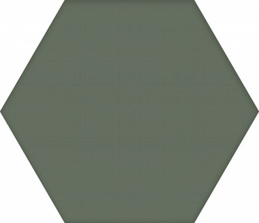 Керамогранит Basic Moss Hex25 25x22 от Codicer (Испания)