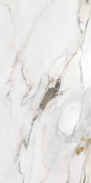 Керамогранит MARMO E PIETRA MACCHIA ANTICA LAPP.RETT. (163103) 60x120 от AVA Ceramica (Италия)