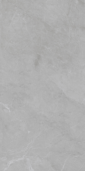 Керамогранит MARBLES Barcelona Light Grey 5мм Matt 60x120 от StaroSlim (Индия)