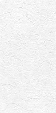 Керамогранит Snow White Stone (Punch) FULL BODY 60x120 от Maimoon Ceramica (Индия)