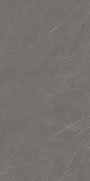 Керамогранит Xlight Premium Liem Grey Polished (C229801491) 120x250 от XLight (Испания)