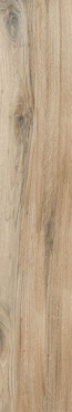 Керамогранит ASTON PINE 20x120x0.9 от Gravita (Индия)