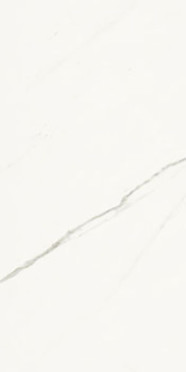 Керамогранит Aesthetica AE EXT6 12 RM (AEEXT612RM) 60x120 от La Faenza (Италия)