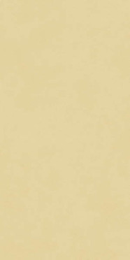 Керамогранит Design Colors Blossom Sun Matt (N12037) 60x120 от Neodom (Индия)