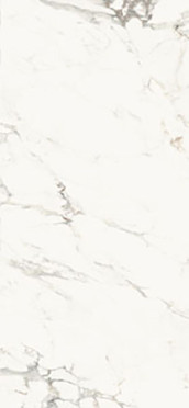 Керамогранит Aesthetica AE CAP6 260 LP (AECAP6260LP) 120x260 от La Faenza (Италия)