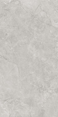 Керамогранит Pluto Silver светло-серый (SG50005220R) матовый 59.5x119.1 от Laparet