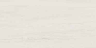 Керамогранит Marvel Stone Bianco Dolomite Lappato (AZRU) 45x90 от Atlas Concorde (Италия)
