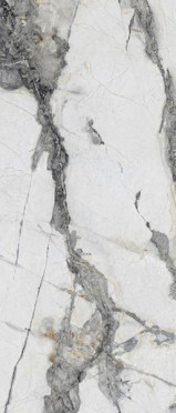 Керамогранит Titanium Renoir Polished (N20416) 120x278 от Neodom (Индия)