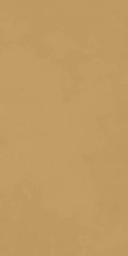 Керамогранит Decora Senape Rett (RA5D) 60x120 от Ragno (Италия)