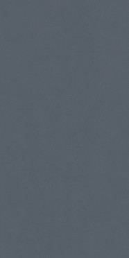 Настенная плитка SURFACE WINTER BLUE RET (600010002375) 80x160 от Italon (Россия)