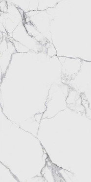 Керамогранит BELMONDO Bianco Polished 60x120 от Infiniti (Индия)