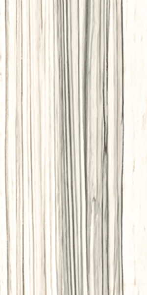 Керамогранит Aesthetica AE ZEB6 12 LP (AEZEB612LP) 60x120 от La Faenza (Италия)